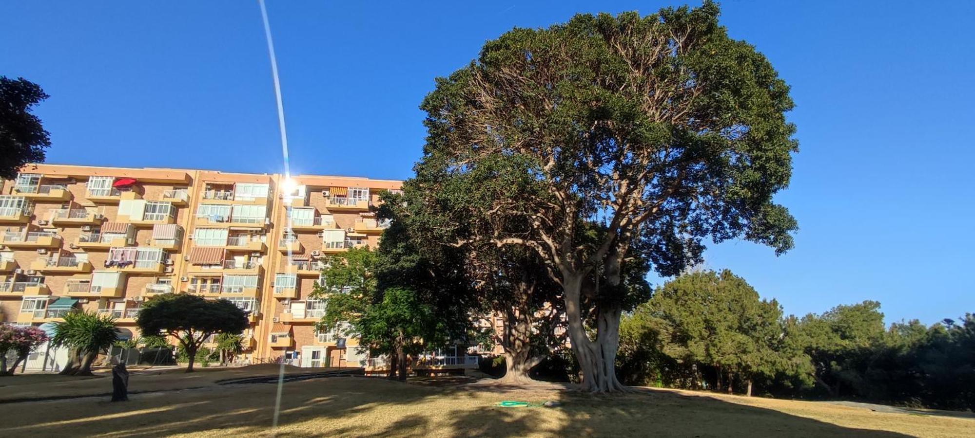Apartamento Aguila, Arroyo De La Miel, ベナルマデナ エクステリア 写真
